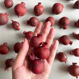 تصویر انار خشک تزیینی 