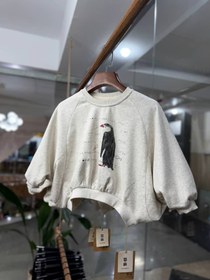 تصویر دورس پنگوئن 