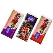 تصویر کیسه فریزر تقویمی پلانگتون 100برگی کد 51 