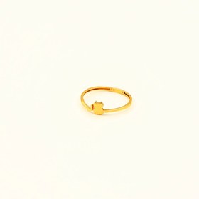 تصویر انگشتر گربه 