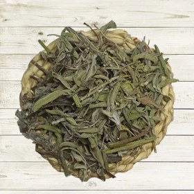 تصویر مریم گلی 