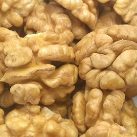 تصویر مغز گردو 