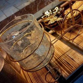 تصویر جا نبات 