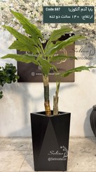 تصویر درختچه بابا آدم مصنوعی دو تنه 140 سانت 