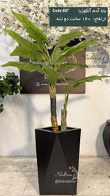 تصویر درختچه بابا آدم مصنوعی دو تنه 140 سانت 