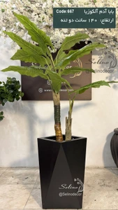 تصویر فروشگاه سلینو دکور