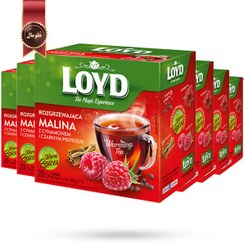 تصویر چای کیسه ای هرمی لوید LOYD مدل تمشک گرم warm raspberry پک 20 تایی بسته 6 عددی 