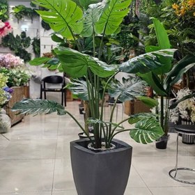 تصویر درختچه انجیری مصنوعی 