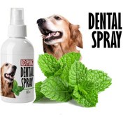 تصویر اسپری دنتال رد اسپرینگ با رایحه نعنا 60ml Red Spring Dental Spray With Mint Scent 60ml