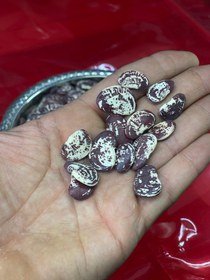 تصویر لوبیا عروس chirstmas lima