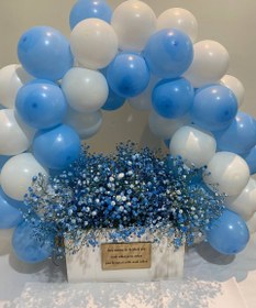 تصویر باکس بادکنک ژیپسوفیلا 