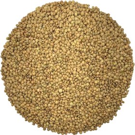 تصویر عدس ریز ممتاز 