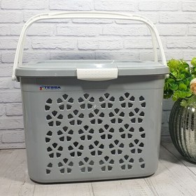 تصویر سبد پیک نیک کوچک تسا مدل ترگل 