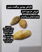 تصویر خرمهره تست شده 