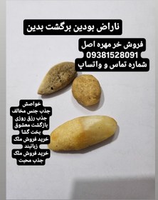 تصویر خرمهره تست شده 