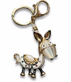 تصویر جاکلیدی Animal 