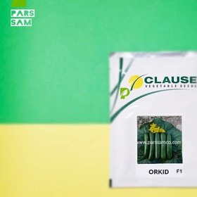 تصویر بذر خیار ارکید 