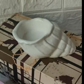 تصویر مولدصدف گوش ماهي 