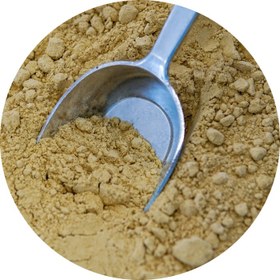 تصویر پودر زنجبیل 