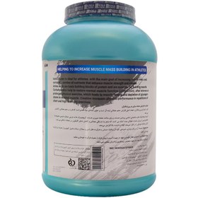 تصویر پودر گینر استلا 3100 گرم 