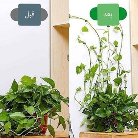 تصویر گیره نگهدارنده گل پتوس(10عددی) 