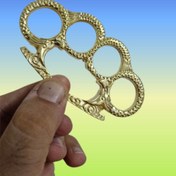 تصویر پنجه بوکس تمساح 