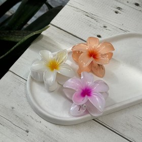 تصویر کیلیپس طرح گل کد C239 