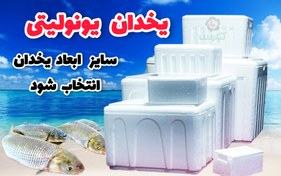 تصویر عرضه مستقیم یخدان‌های یونولیتی و یخچال‌های مسافرتی با بهترین کیفیت | سایز یخدان را انتخاب کنید 