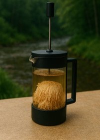 تصویر قارچ یال شیر 