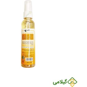 تصویر ژل شستشوی صورت ( فیس واش ) گژگین ( Gajgin Face Wash ) 