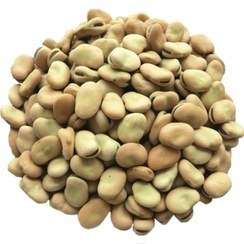 تصویر باقلا برکت خوشه سازان هر میزان سفارش ارسال تضمین صدرصد در هفت بند بودن لطفاً قبل سفارش تماس بفرمایید