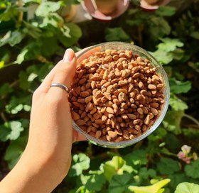 تصویر بادام وحشی کوهی 