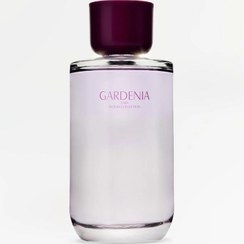 تصویر عطر زنانه زارا گاردنیا 180 میل ZARA GARDENIA EDP 180ML / 6.08 fl. oz