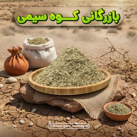 تصویر خارشتر 