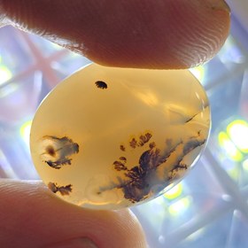 تصویر نگین معدنی شجر 