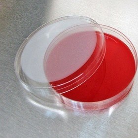 تصویر محیط کشت بلاد آگار کیولب - 100 گرم Blood Agar, Quelab