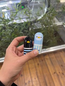 تصویر غلطگیر اردکی 