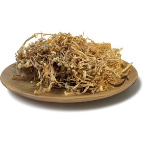 تصویر قارچ انوکی 