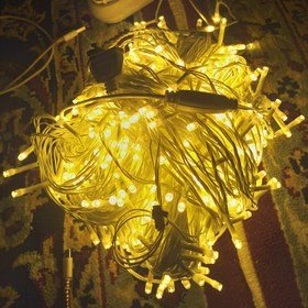 تصویر ریسه سوزنی آفتابی ۱۰۰متری 