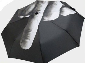 تصویر چتر بی تربیت 