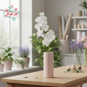 تصویر گل ارکیده دو بازو 