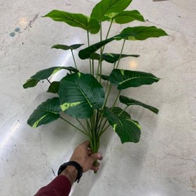 تصویر بوته پتوس مصنوعی 