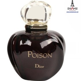 Poison 100ml on sale