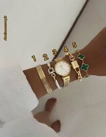 تصویر ست ساعت ودستبند (دیور، الوی ،ونکلیف، فرگامو) 