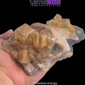 تصویر رمبوئدر نباتی 