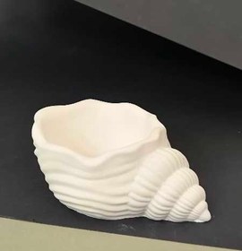 تصویر بیس خام شات صدف کد ۲۰۰ 