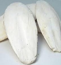 تصویر کف دریا - 1کیلوگرم 