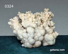 تصویر سنگ زینتی آراگونیت مرجانی 