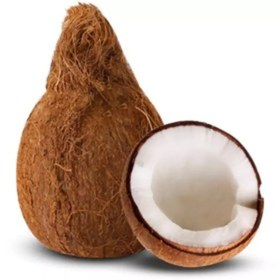 تصویر میوه نارگیل بزرگ 