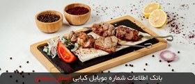 تصویر بانک اطلاعات شماره موبایل کبابی استان سمنان 